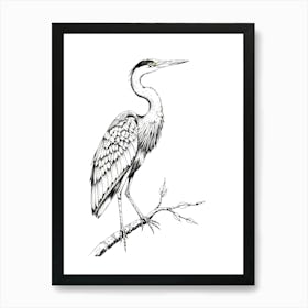 Great Blue Heron 1 Art Print