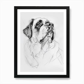 St Bernard Dog Charcoal Line 1 Art Print