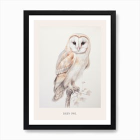 Vintage Bird Drawing Barn Owl 2 Poster Art Print