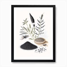 Black Sesame Spices And Herbs Pencil Illustration 4 Art Print