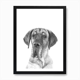 Black and White Alano Watercolor Art Print