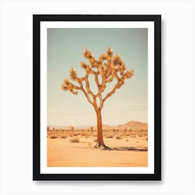  Photograph Of A Joshua Tree In A Sandy Desert 3 Art Print