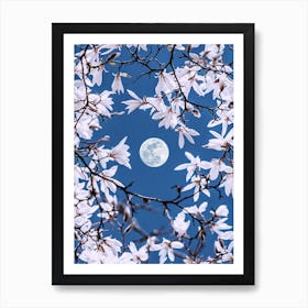 Moonlight Through Sakura Blossoms Art Print