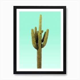 Cactus on Cyan Wall Art Print