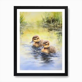 Ducklings In Lake Watercolour 4 Art Print