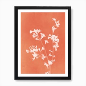 Monograph Orange Art Print