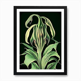 Jack In The Pulpit 3 Floral Botanical Vintage Poster Flower Art Print