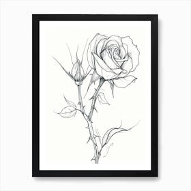 English Rose Black And White Line Drawing 30 Art Print