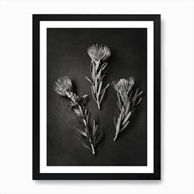 Monochrome Pins 1 Art Print