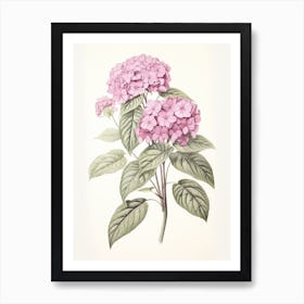 Ajisai Hydrangea 1 Vintage Japanese Botanical Art Print