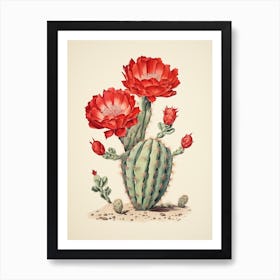 Vintage Cactus Illustration Devils Tongue Cactus Art Print