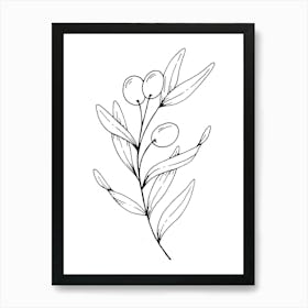 Olive Branch Art Print