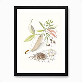 White Pepper Spices And Herbs Pencil Illustration 1 Art Print