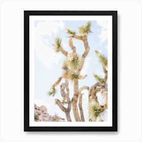 Desert Art Print