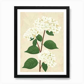 Hydrangea 15 Art Print