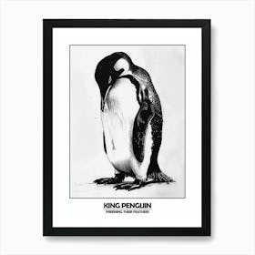 Penguin Preening Their Feathers Poster 7 Art Print