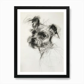 Terrier Dog Charcoal Line Art Print