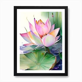 Amur Lotus Watercolour 2 Art Print