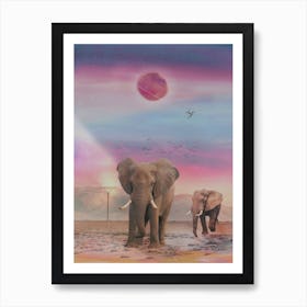 Elephant Sunset Art Print