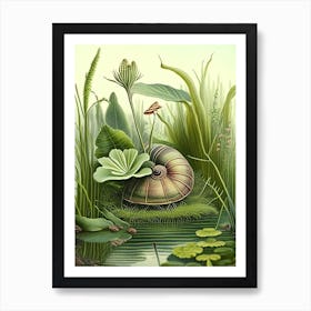 Garden Snail In Marshes 1 Botanical Art Print