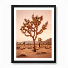 Photograph Of A Joshua Trees At Dusk In Desert 4 Art Print