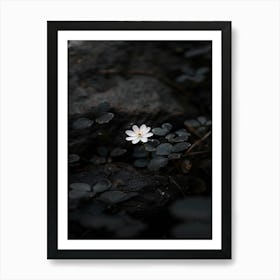 White Flower In The Dark 7 Art Print