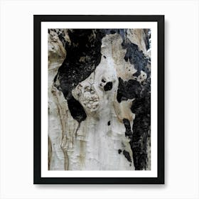 Photo Abstraction A Horse Art Print
