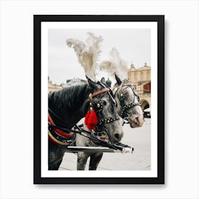 Carriage Horses In Krakow Art Print