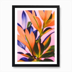 Blackberry Lily Colourful Illustration Art Print