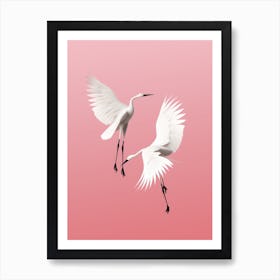 Two White Cranes In Flight Art Print