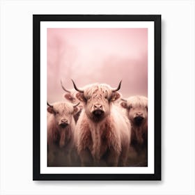 Blush Pink Highland Cows In The Rain 1 Art Print