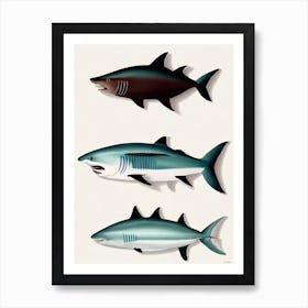 Bonnethead Shark Vintage Poster Art Print