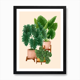 Indoor Plants 1 Art Print