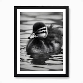 Duckling 0 Art Print