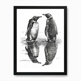 King Penguin Admiring Their Reflections 3 Art Print