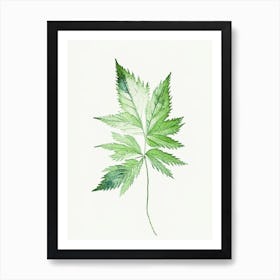 Nettle Leaf Minimalist Watercolour 3 Art Print
