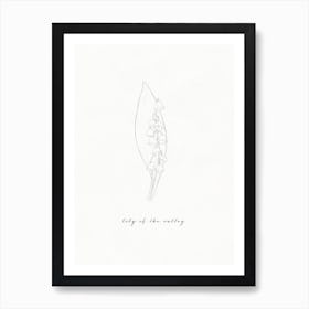 Lily Of The Valley Line Drawing 1 Art Print