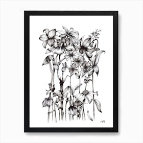 Black and White Daisy Bouquet Art Print