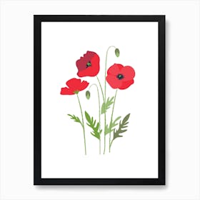 Poppies 2 Art Print