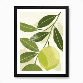 Limes Close Up Illustration 3 Art Print