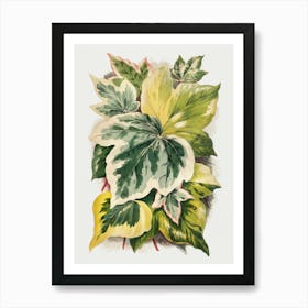 Ivy11 Art Print