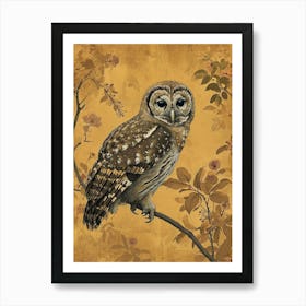 Spotted Owl Japanese Painting 1 Art Print