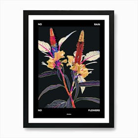 No Rain No Flowers Poster Celosia 3 Art Print