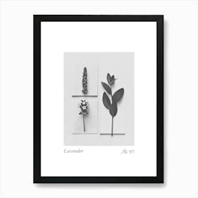 Lavender Botanical Collage 3 Art Print