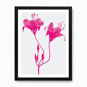 Hot Pink Gloriosa Lily 1 Art Print