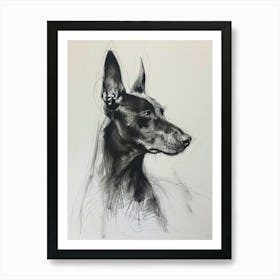 Pinscher Charcoal Line 3 Art Print