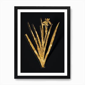 Vintage Stinking Iris Botanical in Gold on Black n.0025 Art Print