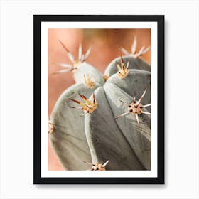 Cactus Spines Art Print