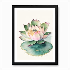 Blooming Lotus Flower In Lake Watercolour Ink Pencil 4 Art Print