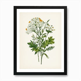 Vintage Botanical Galleria Style Wildflower Painting 21 Art Print